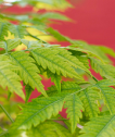 blog_img